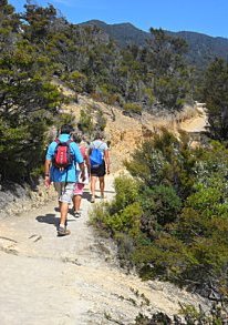 Walking the Able Tasman track above Anchorage