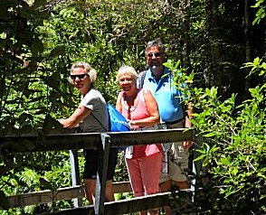 A bridge on the Abel Tasman Track