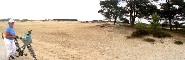 Dune country at Balloerveid
