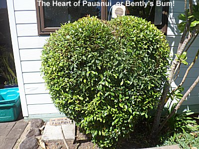 The Heart of Pauanui.