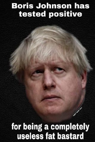bojo