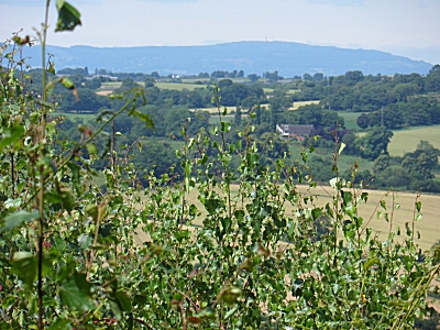 Brown Clee Hill from Kinver Edge
