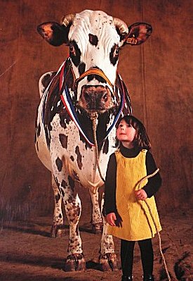 Cow and adoring child