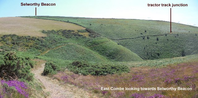 Panorama at East Combe.