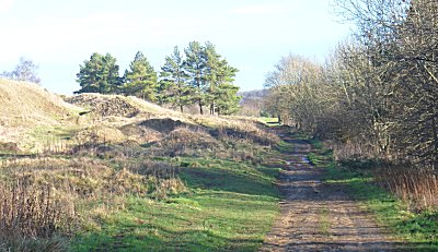 Cotswold Way at Painswick Common
