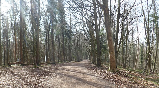 The Cotswold Way at Randwick