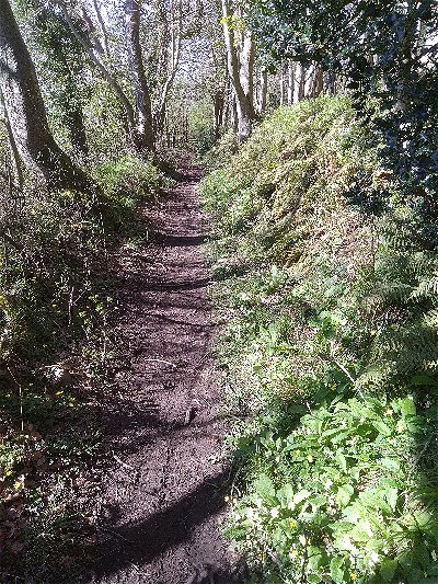 Coleridge Way