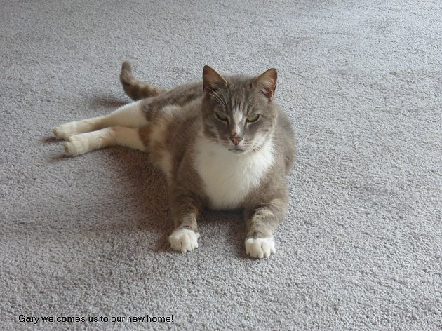 Gary the resident cat.
