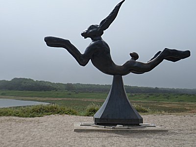 The mad rabbit at Het Zwin