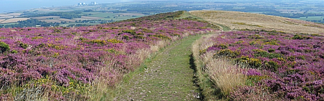 Hinkley Point in the distance from Longstone Hill