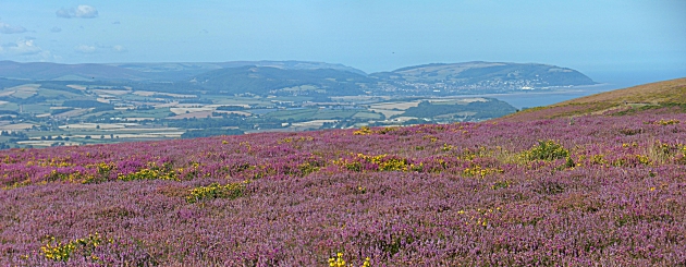 Minehead and Exmoor from Bicknoller Post