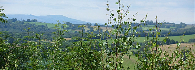 Looking North West to Titterstone Clee Hill from Kinver Edge