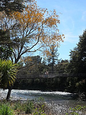 Swing bridge over the Tongariro River