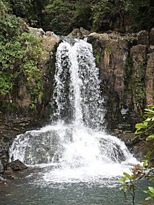 Waiau Falls. Coromandel