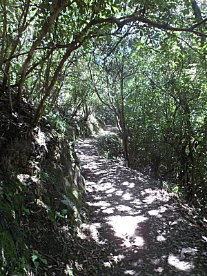 Track between Waihi and Orokawa